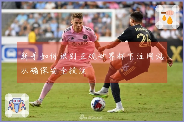 新手如何识别正规世界杯下注网站以确保安全投注