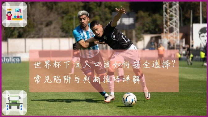 世界杯下注入口该如何安全选择？常见陷阱与判断技巧详解