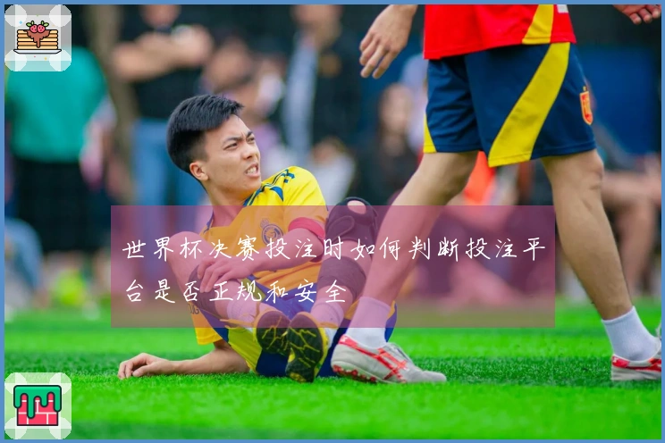 世界杯决赛投注时如何判断投注平台是否正规和安全