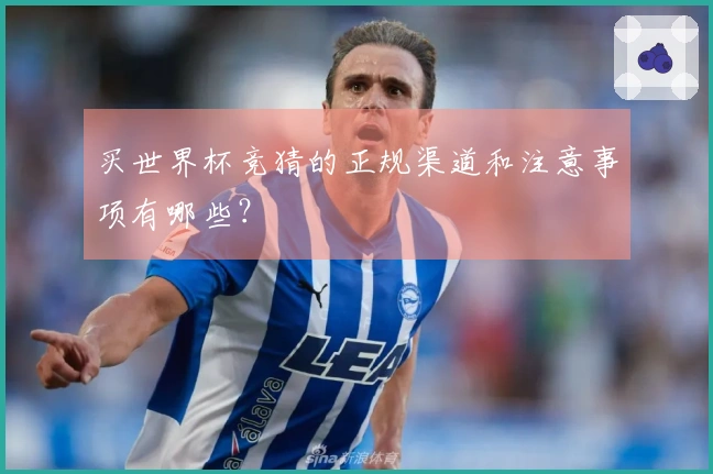 买世界杯竞猜的正规渠道和注意事项有哪些？
