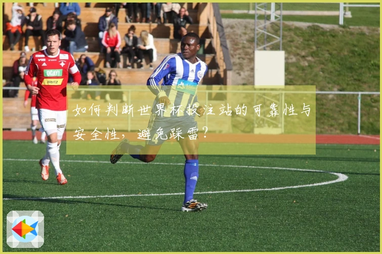 如何判断世界杯投注站的可靠性与安全性，避免踩雷？