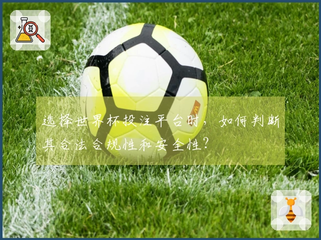 选择世界杯投注平台时，如何判断其合法合规性和安全性？