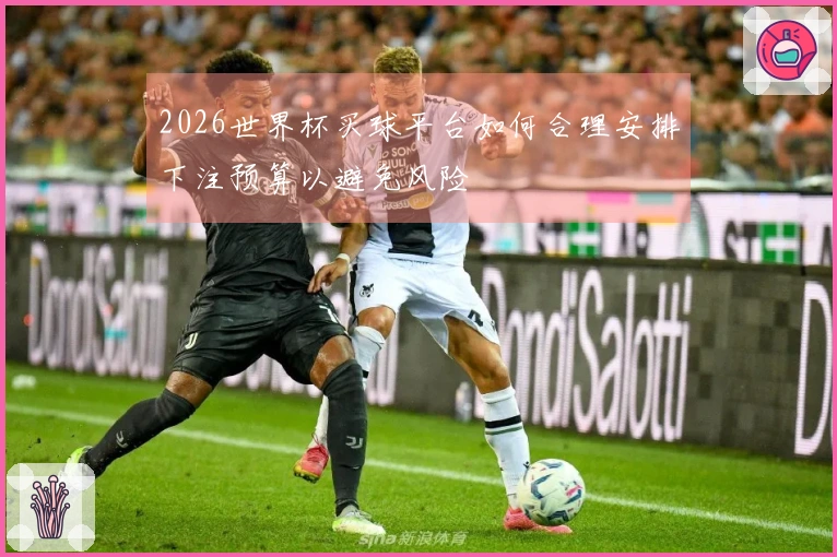 2026世界杯买球平台如何合理安排下注预算以避免风险
