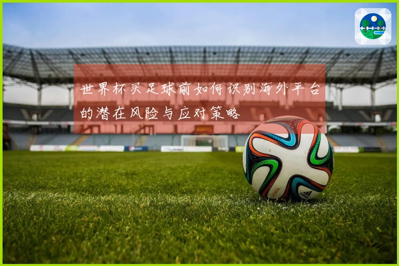 世界杯买足球前如何识别海外平台的潜在风险与应对策略