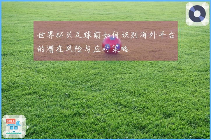 世界杯买足球前如何识别海外平台的潜在风险与应对策略