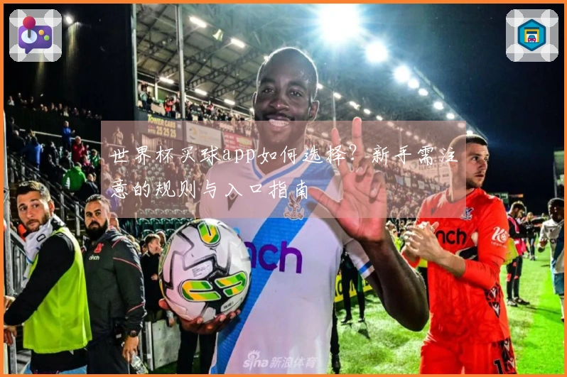 世界杯买球app如何选择？新手需注意的规则与入口指南