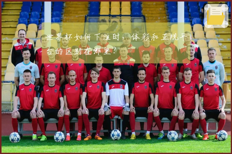 世界杯如何下注时，体彩和正规平台的区别在哪里？