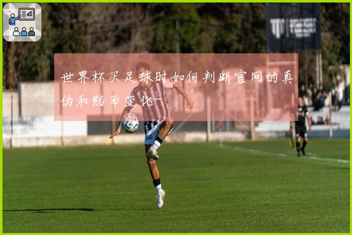 世界杯买足球时如何判断官网的真伪和赔率变化-