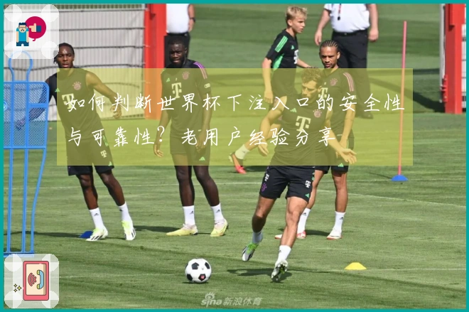 如何判断世界杯下注入口的安全性与可靠性？老用户经验分享
