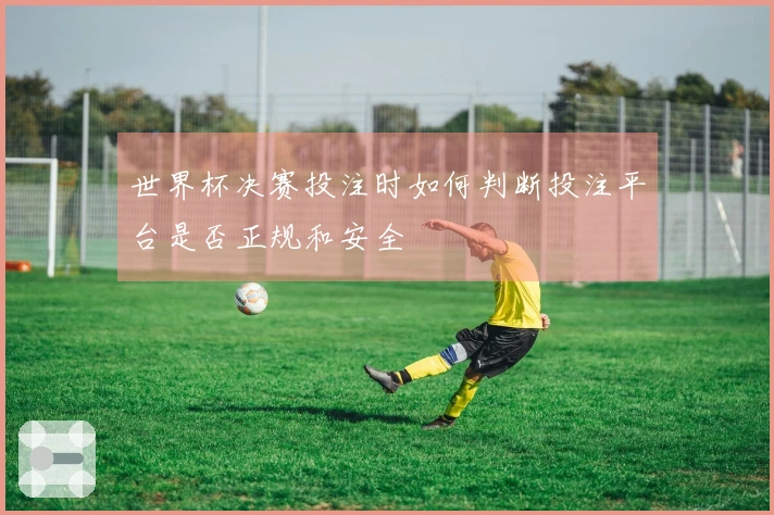 世界杯决赛投注时如何判断投注平台是否正规和安全