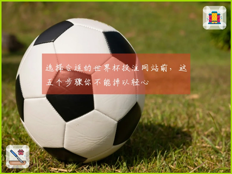 选择合适的世界杯投注网站前，这五个步骤你不能掉以轻心