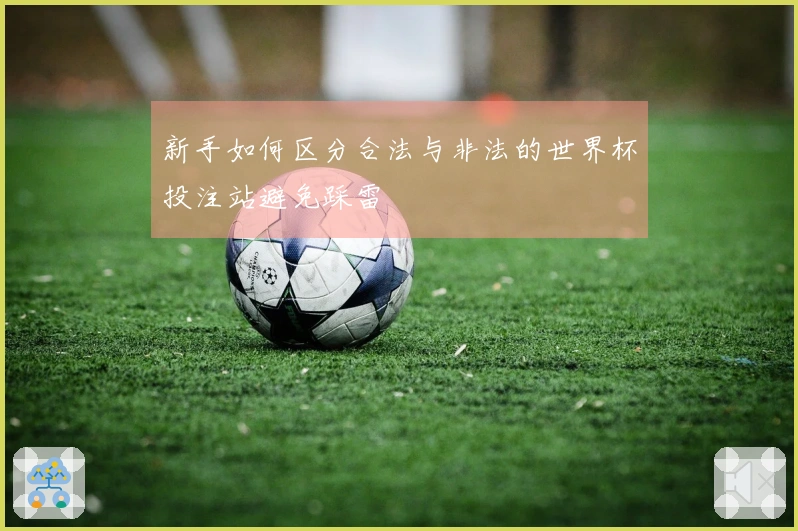 新手如何区分合法与非法的世界杯投注站避免踩雷