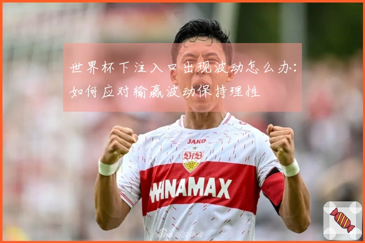 世界杯下注入口出现波动怎么办：如何应对输赢波动保持理性