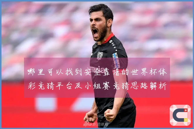 哪里可以找到安全靠谱的世界杯体彩竞猜平台及小组赛竞猜思路解析