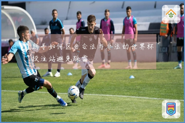 新手如何区分合法与非法的世界杯投注站避免踩雷