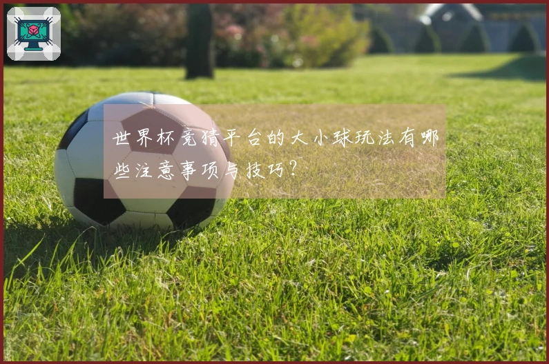 世界杯竞猜平台的大小球玩法有哪些注意事项与技巧？