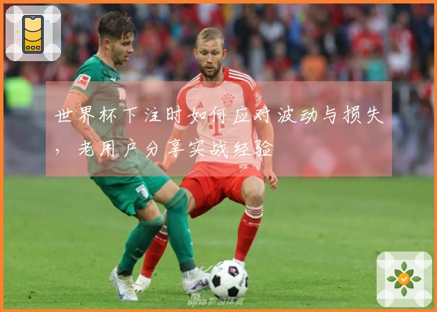 世界杯下注时如何应对波动与损失，老用户分享实战经验