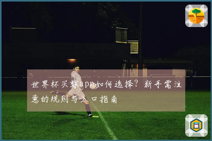 世界杯买球app如何选择？新手需注意的规则与入口指南
