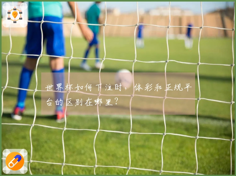 世界杯如何下注时，体彩和正规平台的区别在哪里？