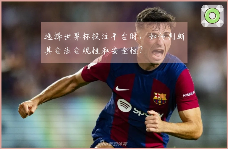 选择世界杯投注平台时，如何判断其合法合规性和安全性？