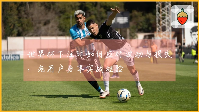 世界杯下注时如何应对波动与损失，老用户分享实战经验