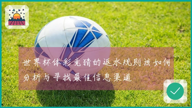 世界杯体彩竞猜的返水规则该如何分析与寻找最佳信息渠道